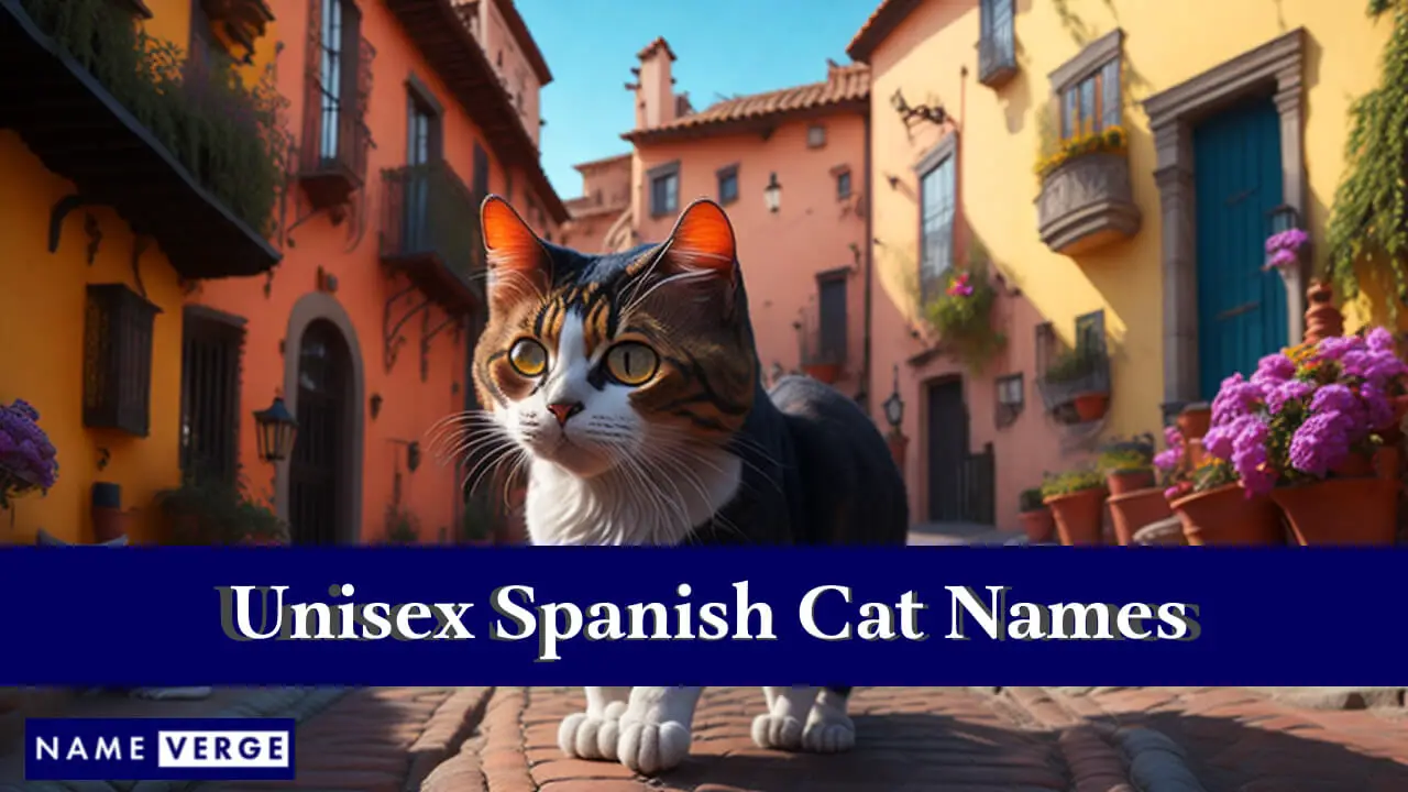 Nomi di gatti spagnoli unisex