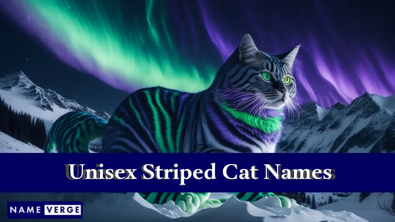 Nomi di gatti a strisce unisex