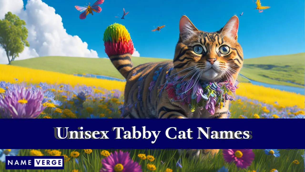 Nomi di gatti soriani unisex