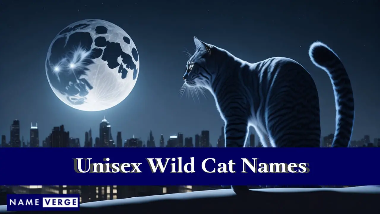 Nomi di gatti selvatici unisex
