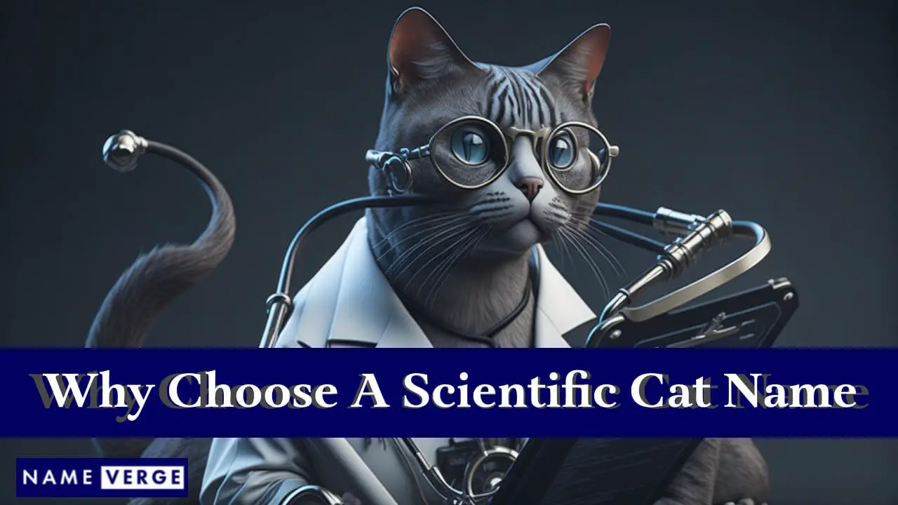 Perché scegliere un nome scientifico per gatti