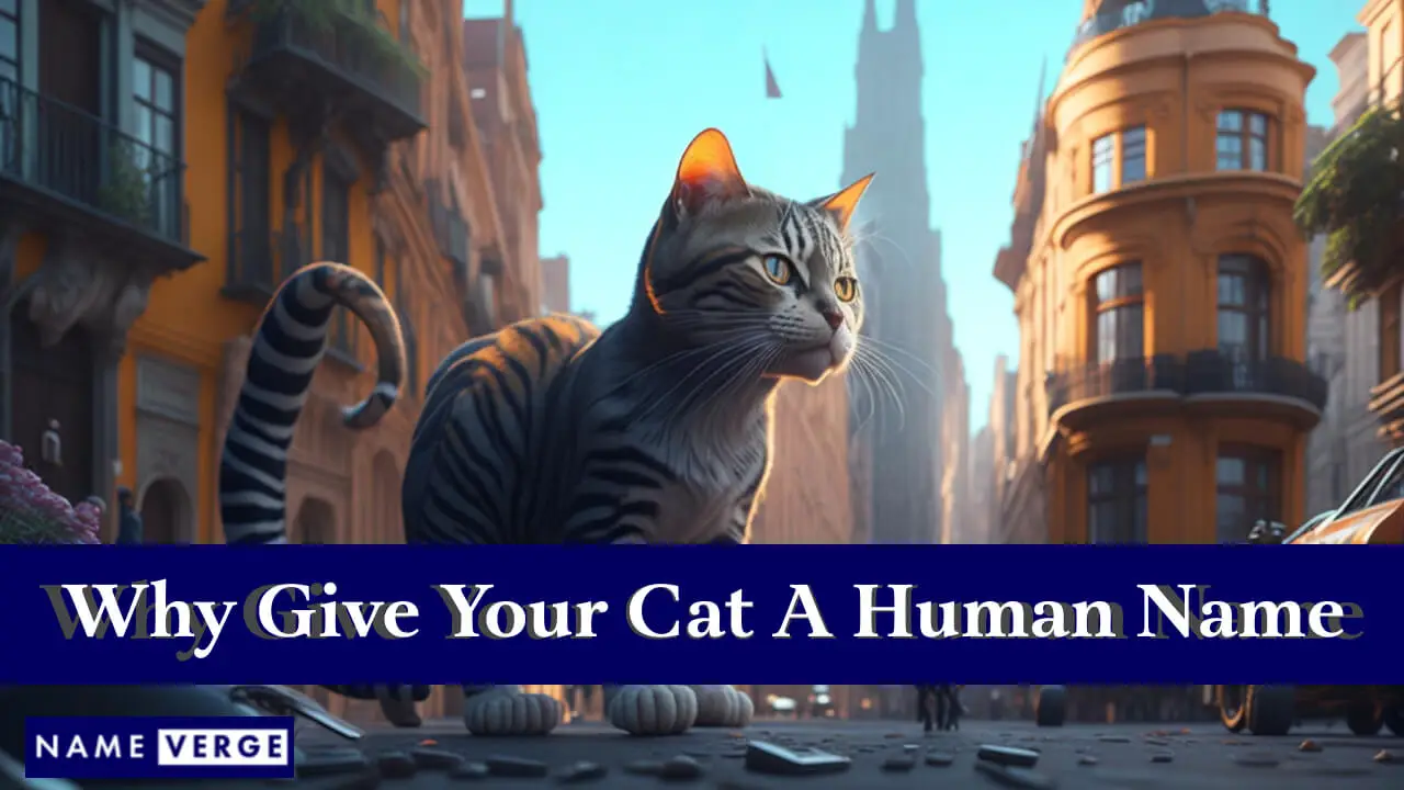 Perché dare al tuo gatto un nome umano?