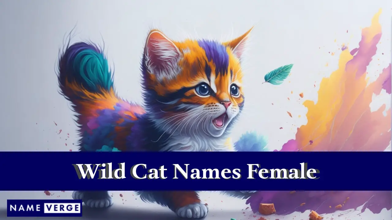 Nomi di gatti selvatici femminili