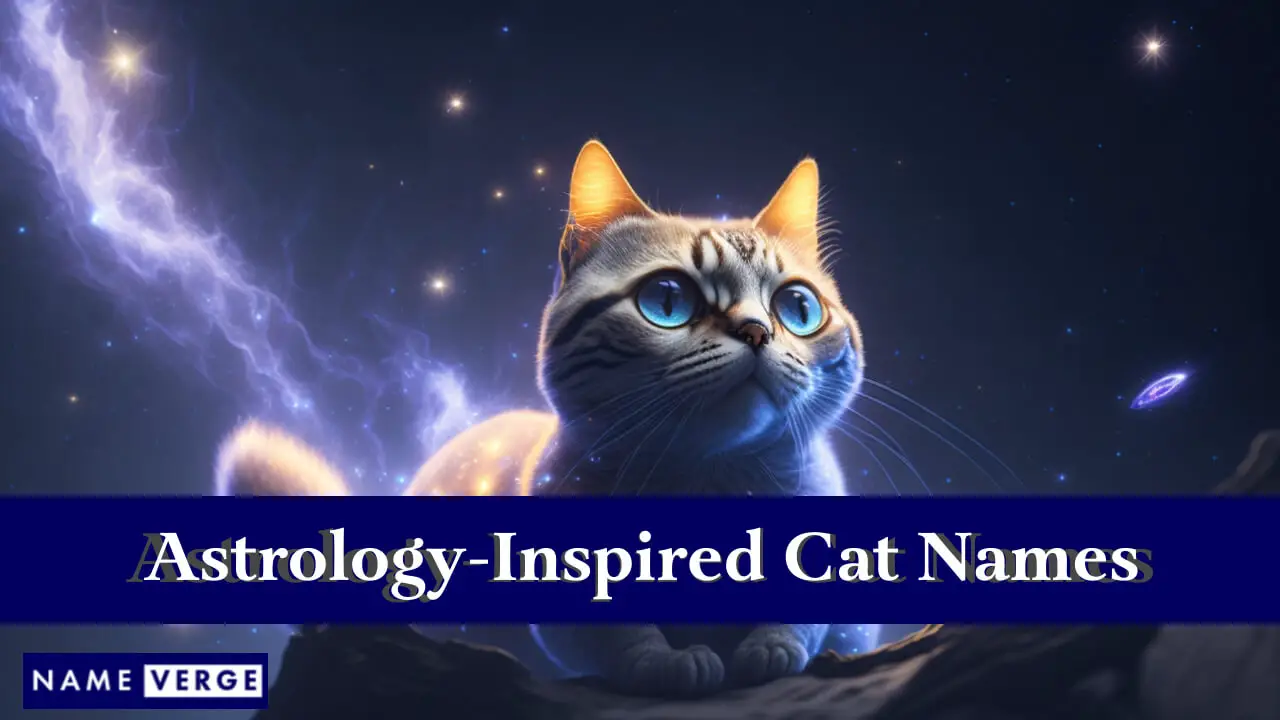 Nomi di gatti ispirati all'astrologia