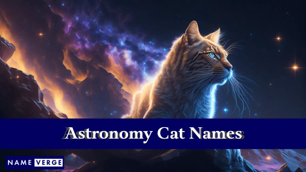 Nomi di gatti di astronomia