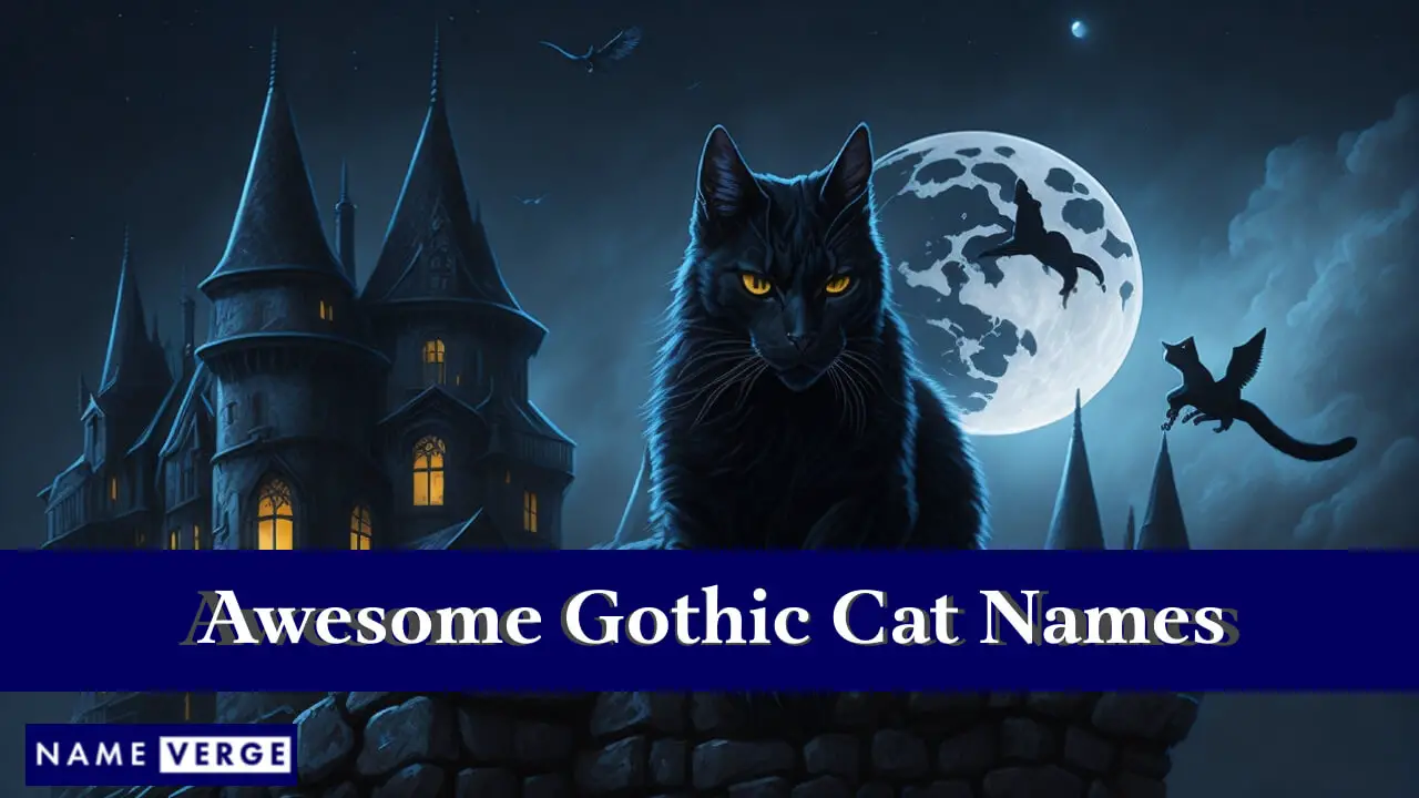 Fantastici nomi di gatti gotici