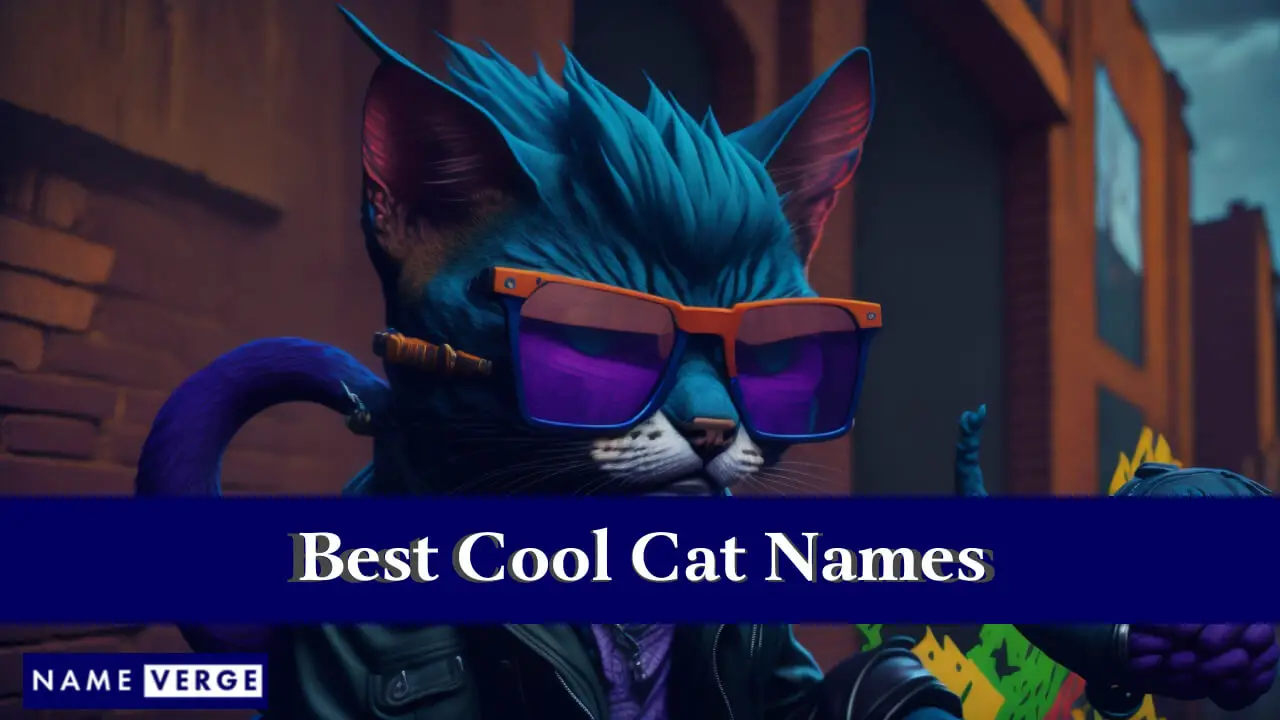 I migliori nomi di gatti fantastici