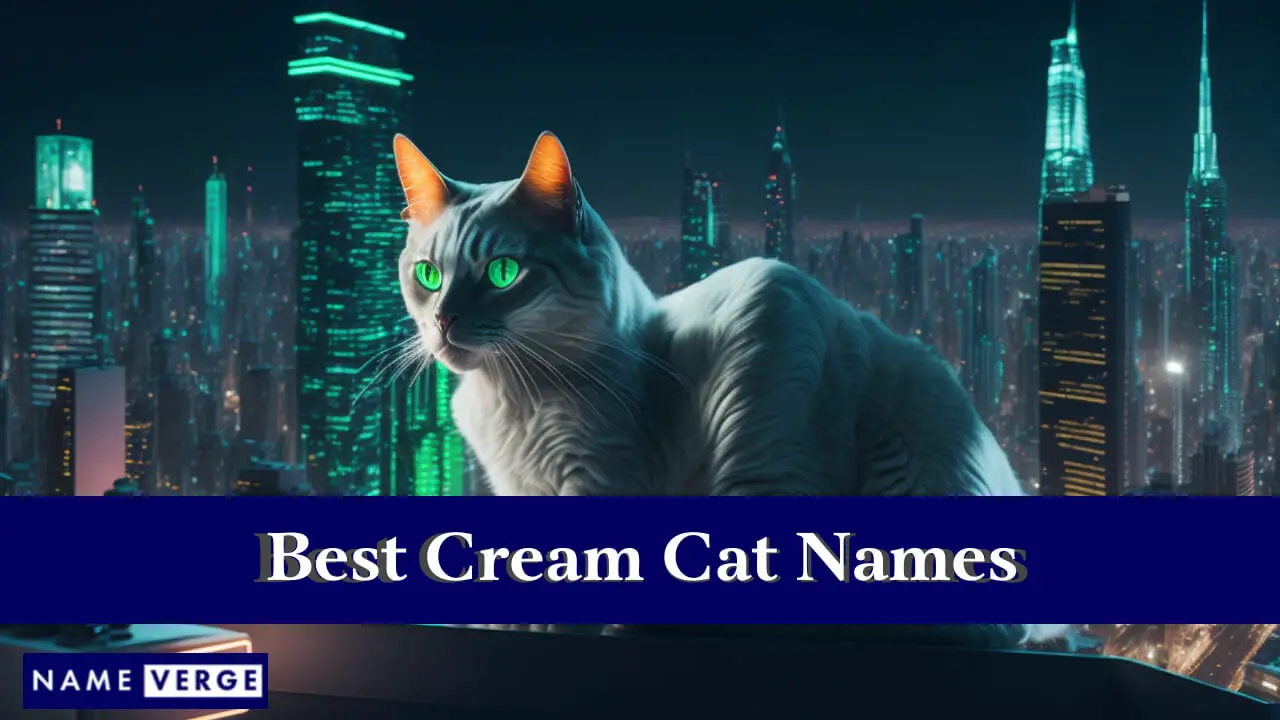 I migliori nomi di gatti color crema