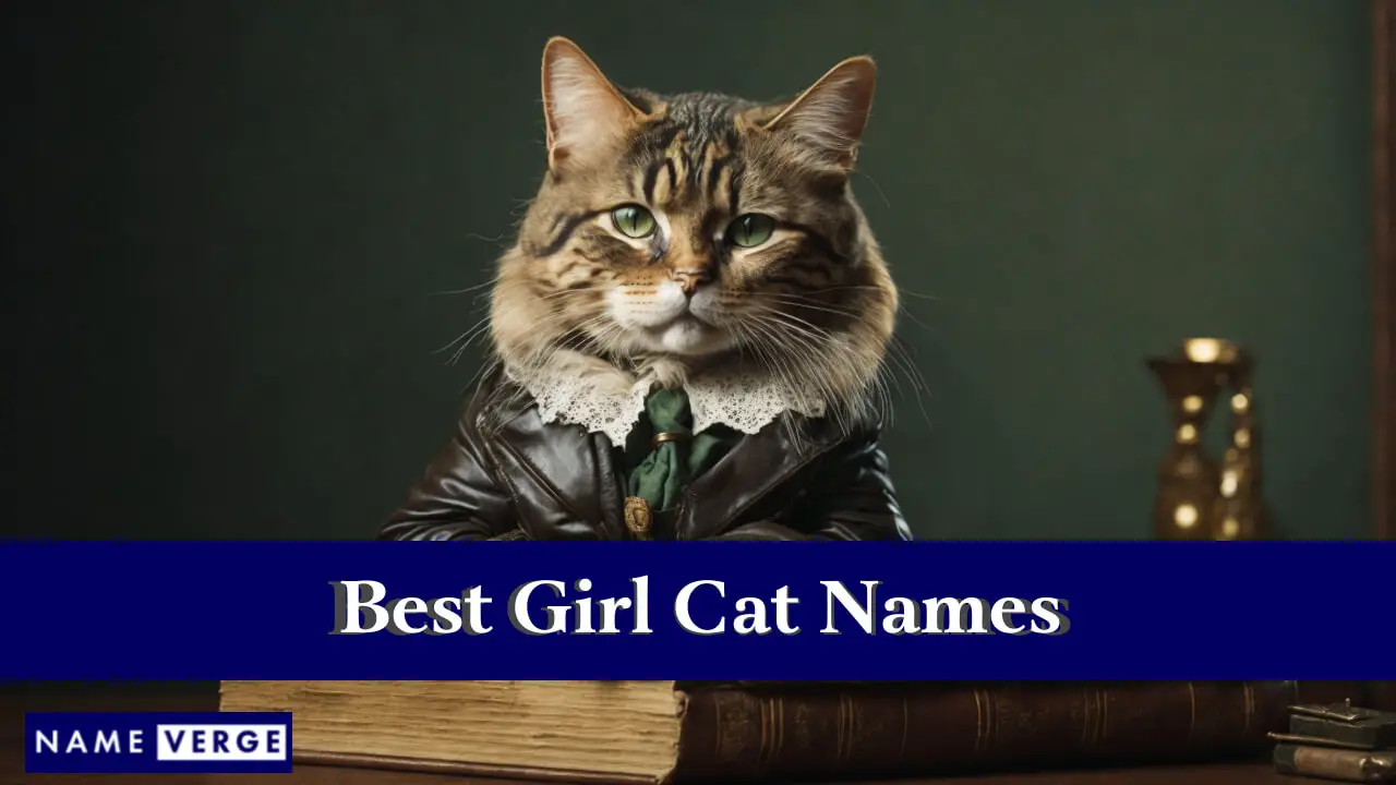 I migliori nomi di gatti per ragazze