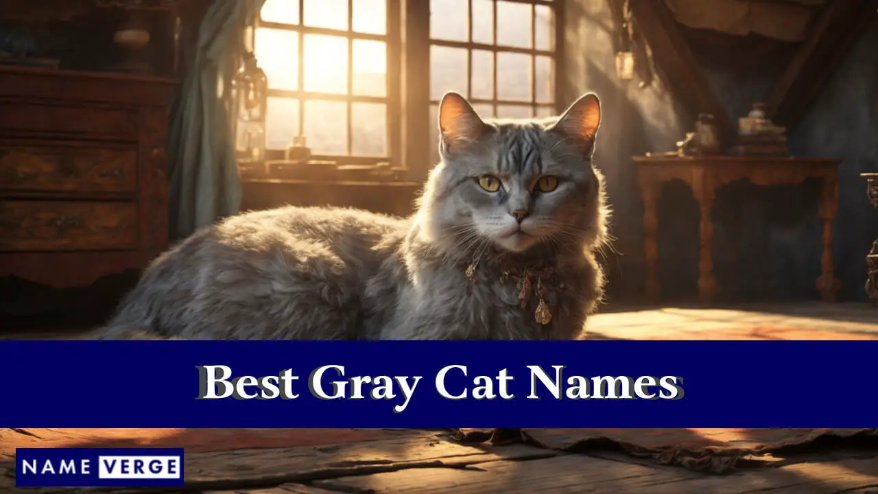 I migliori nomi di gatti grigi