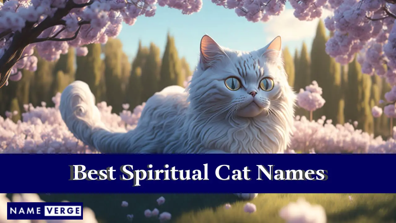 I migliori nomi di gatti spirituali
