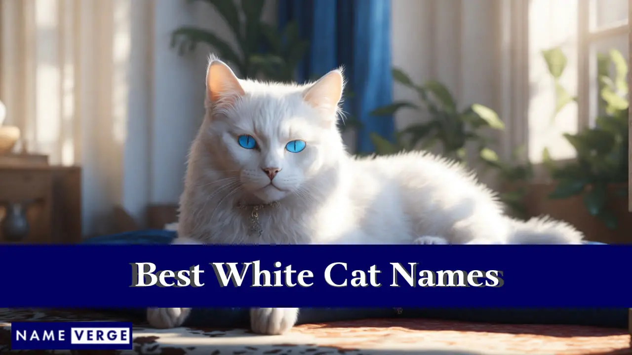 I migliori nomi di gatti bianchi