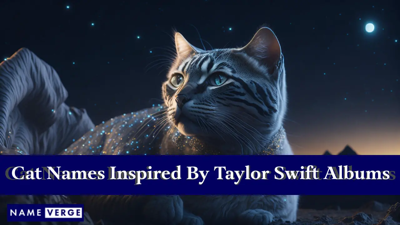 Nomi di gatti ispirati agli album di Taylor Swift
