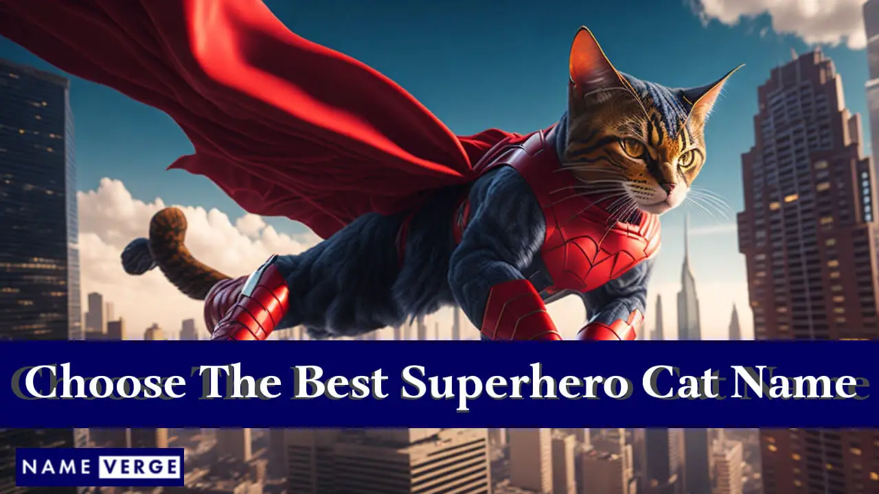 Suggerimenti per scegliere il miglior nome per il gatto supereroe