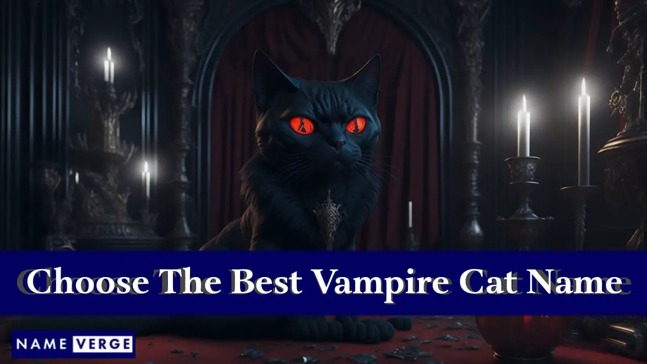 Come scegliere il miglior nome da vampiro per il tuo gatto