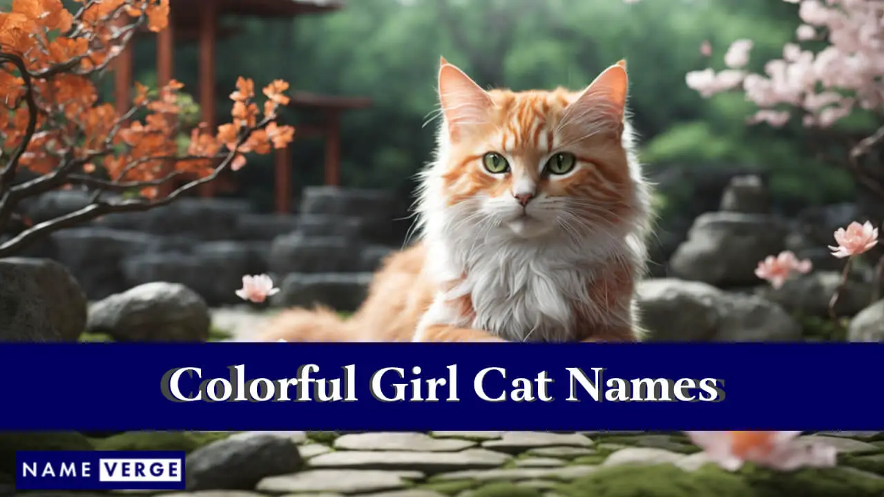 Nomi di gatti colorati per ragazze