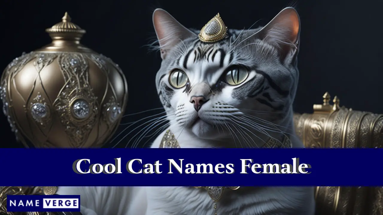 Nomi di gatti fantastici femminili