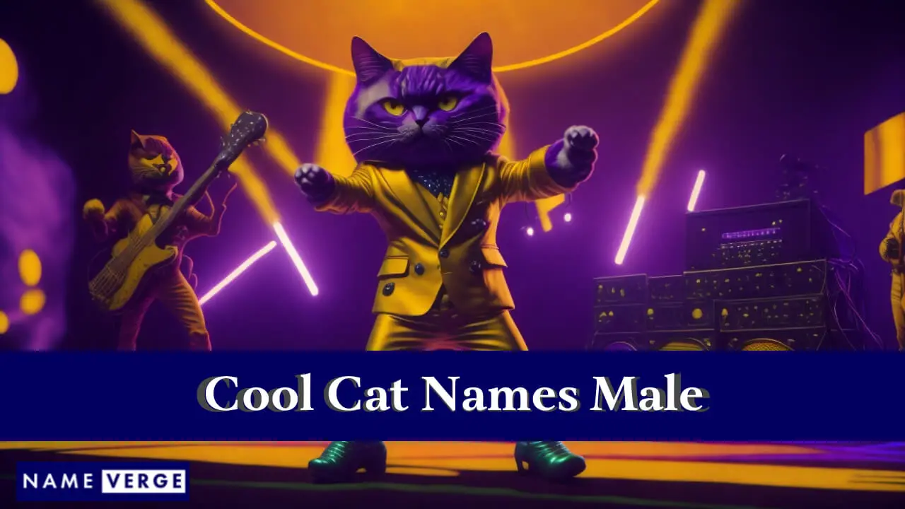 Nomi di gatti fantastici maschi