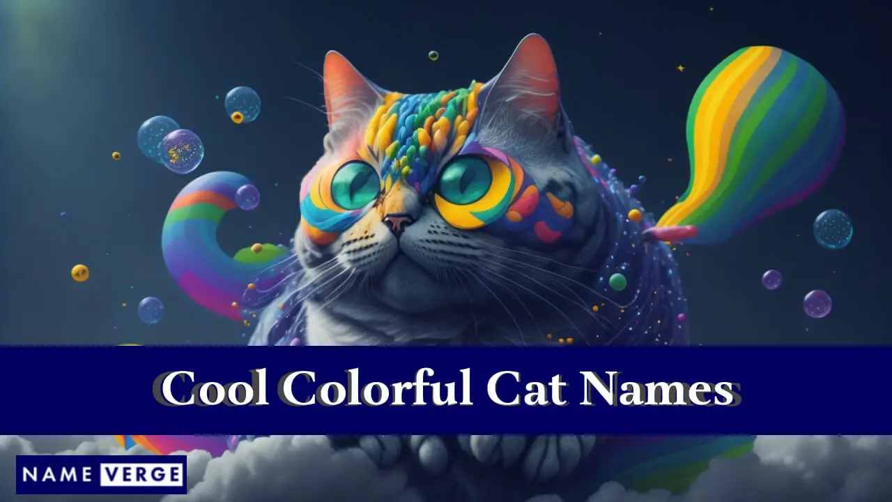 Nomi di gatti colorati e fantastici