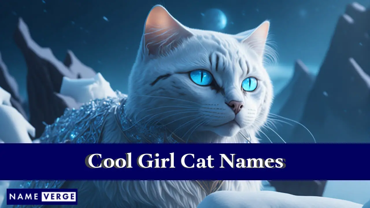 Nomi di gatti per ragazze fantastiche