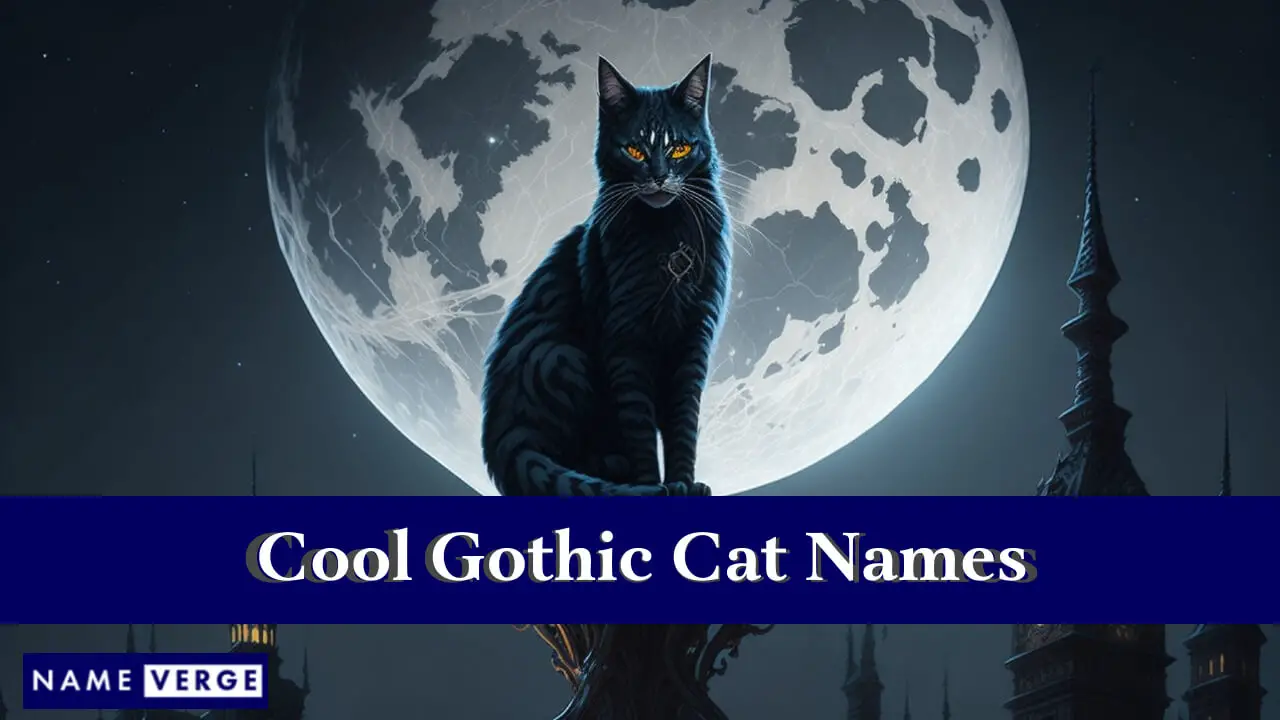 Nomi di gatti gotici fantastici