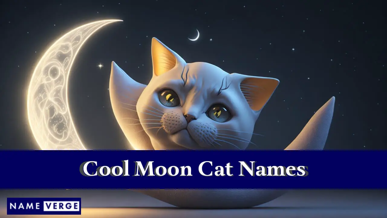Nomi di gatti fantastici sulla luna