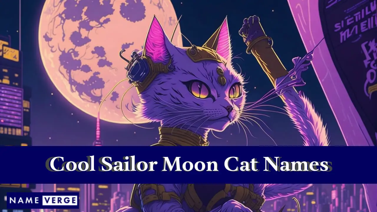 Nomi fantastici per gatti Sailor Moon