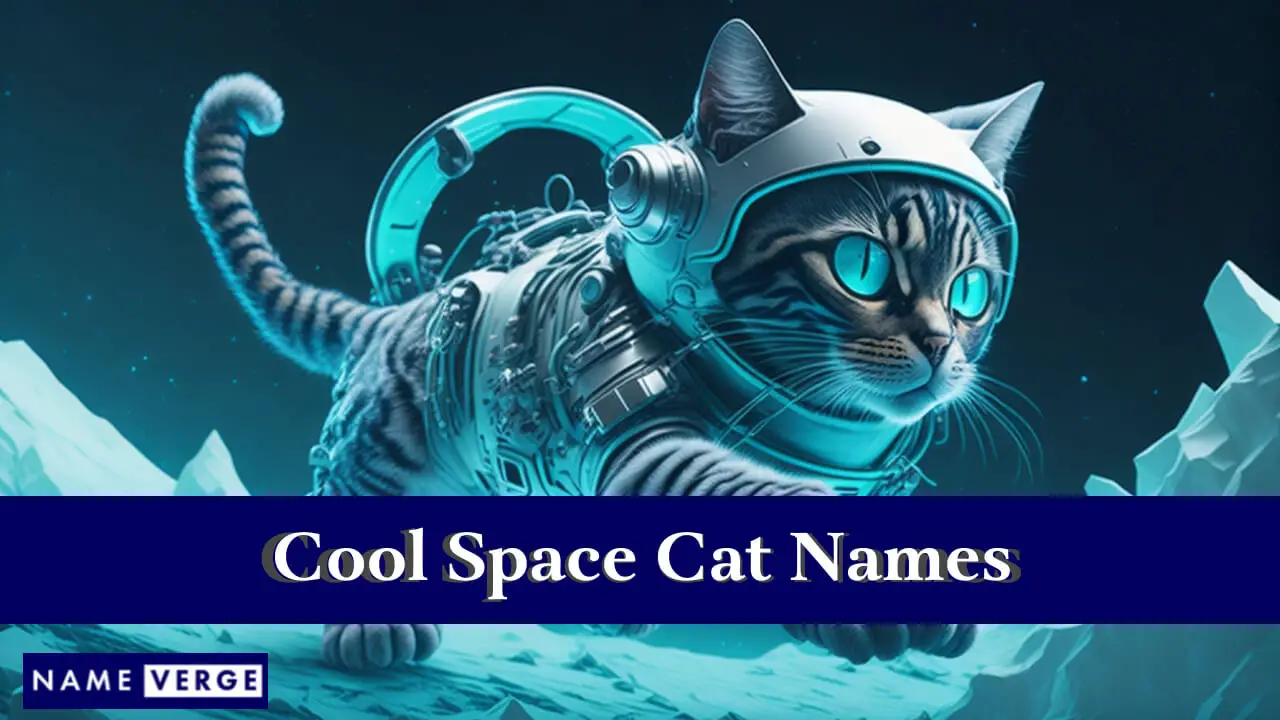 Nomi fantastici per gatti spaziali