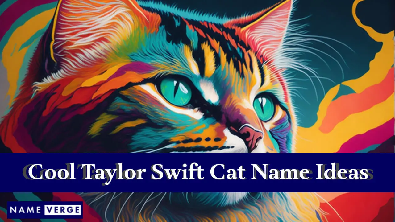 Fantastiche idee per i nomi dei gatti Taylor Swift