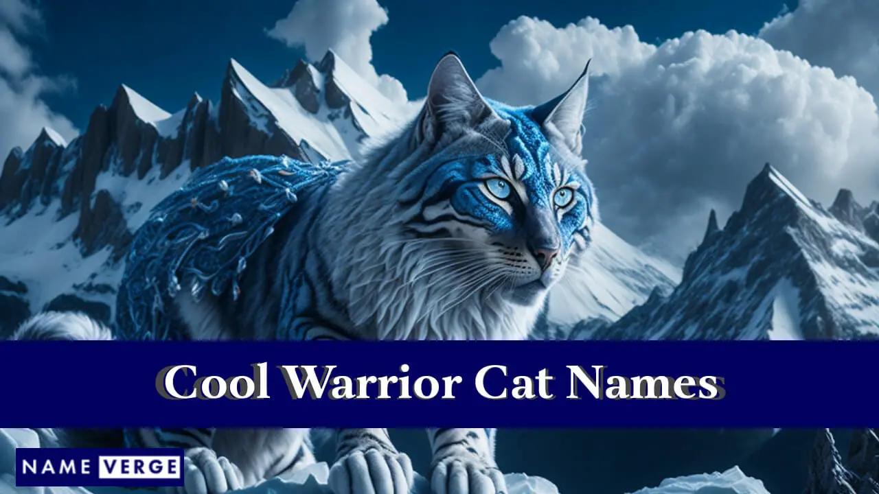 Nomi di gatti guerrieri fantastici