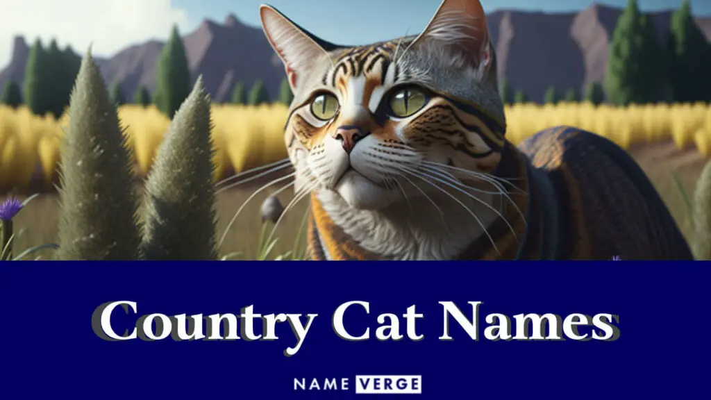 country cat names