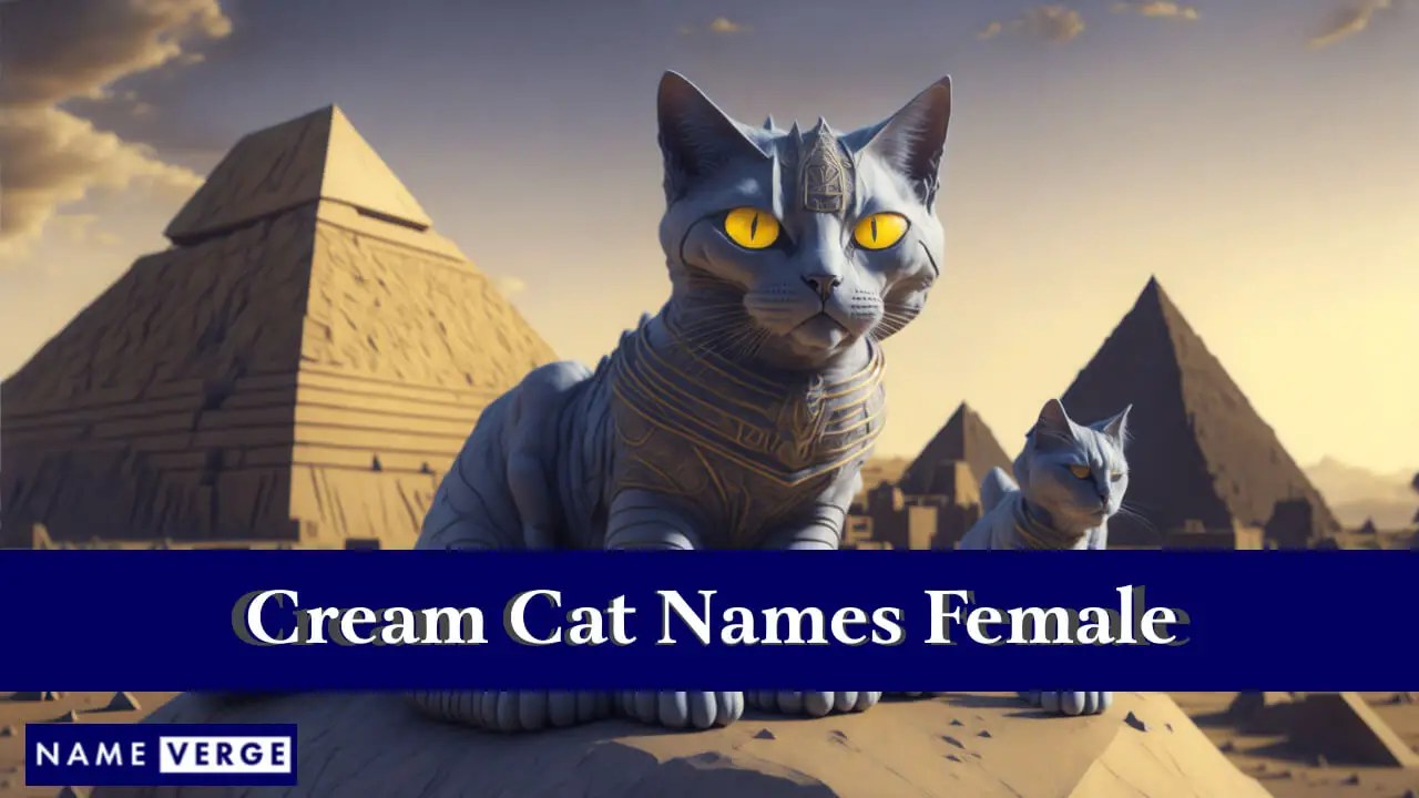 Nomi di gatto crema femminili