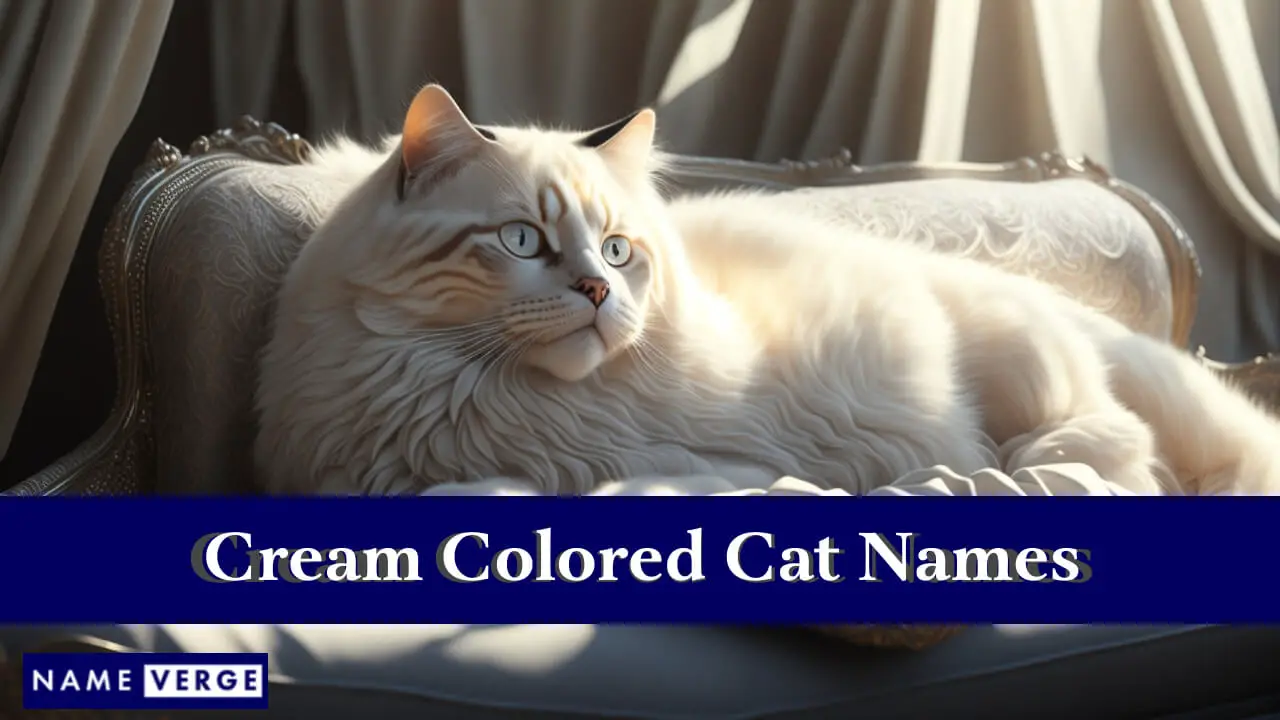 Nomi di gatti color crema