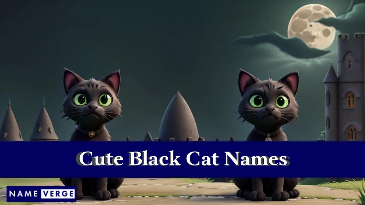 Nomi carini per gatti neri