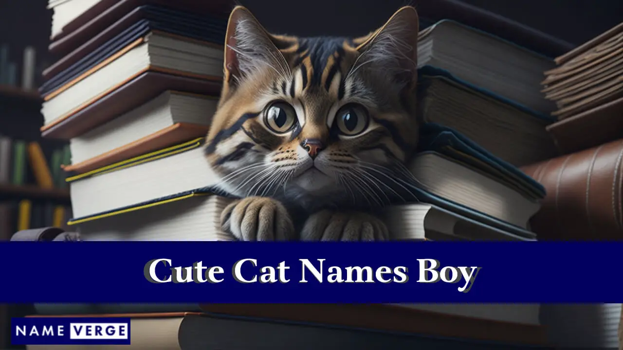 Nomi di gatti carini ragazzo