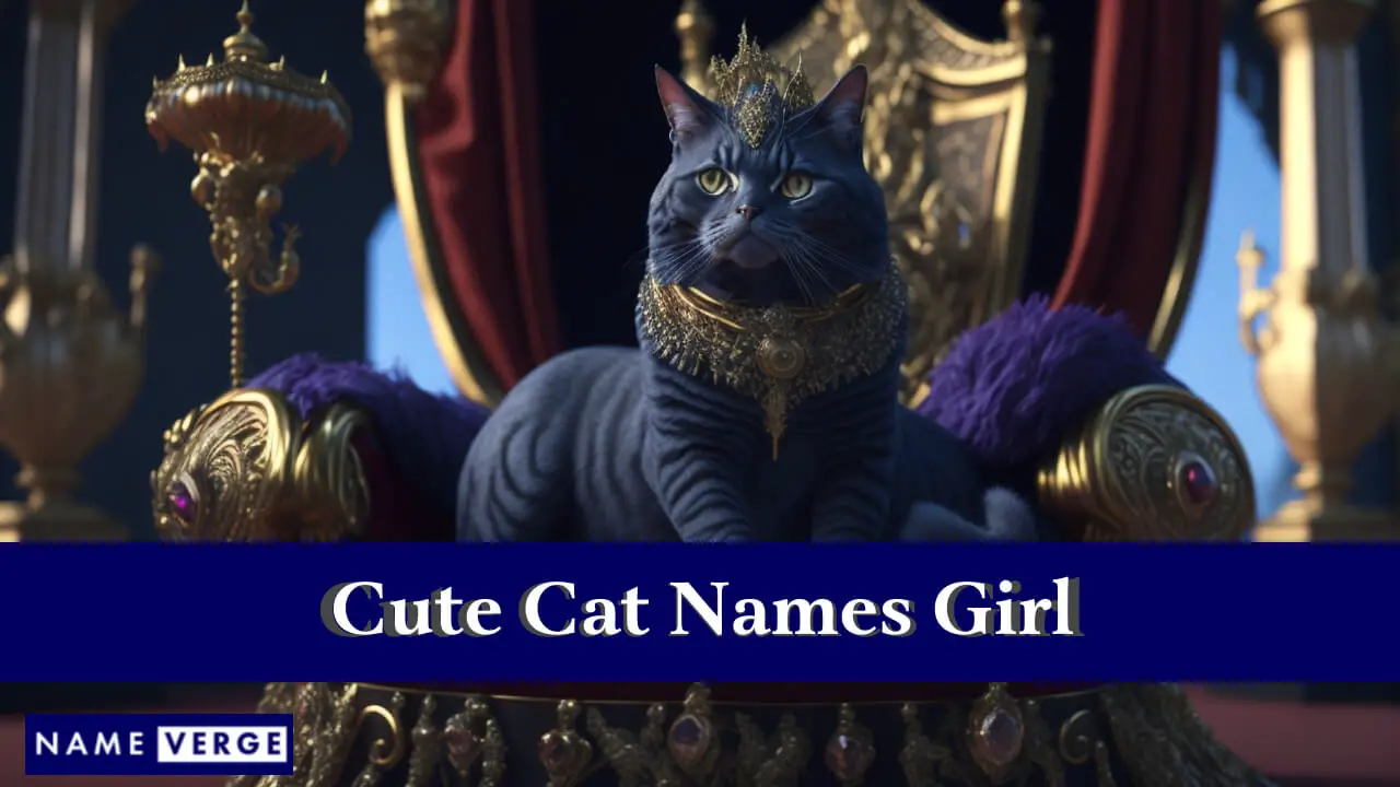 Nomi di gatti carini per ragazza