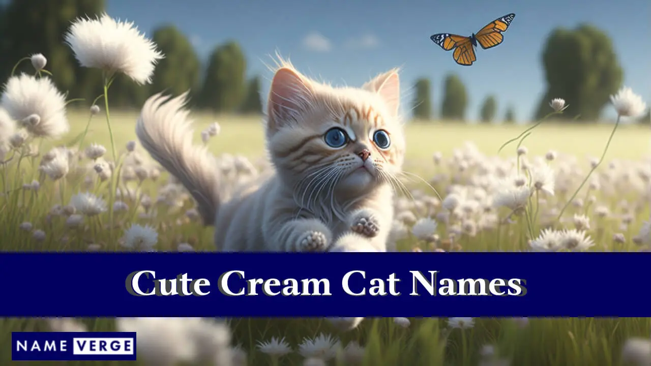 Nomi di gatti crema carini
