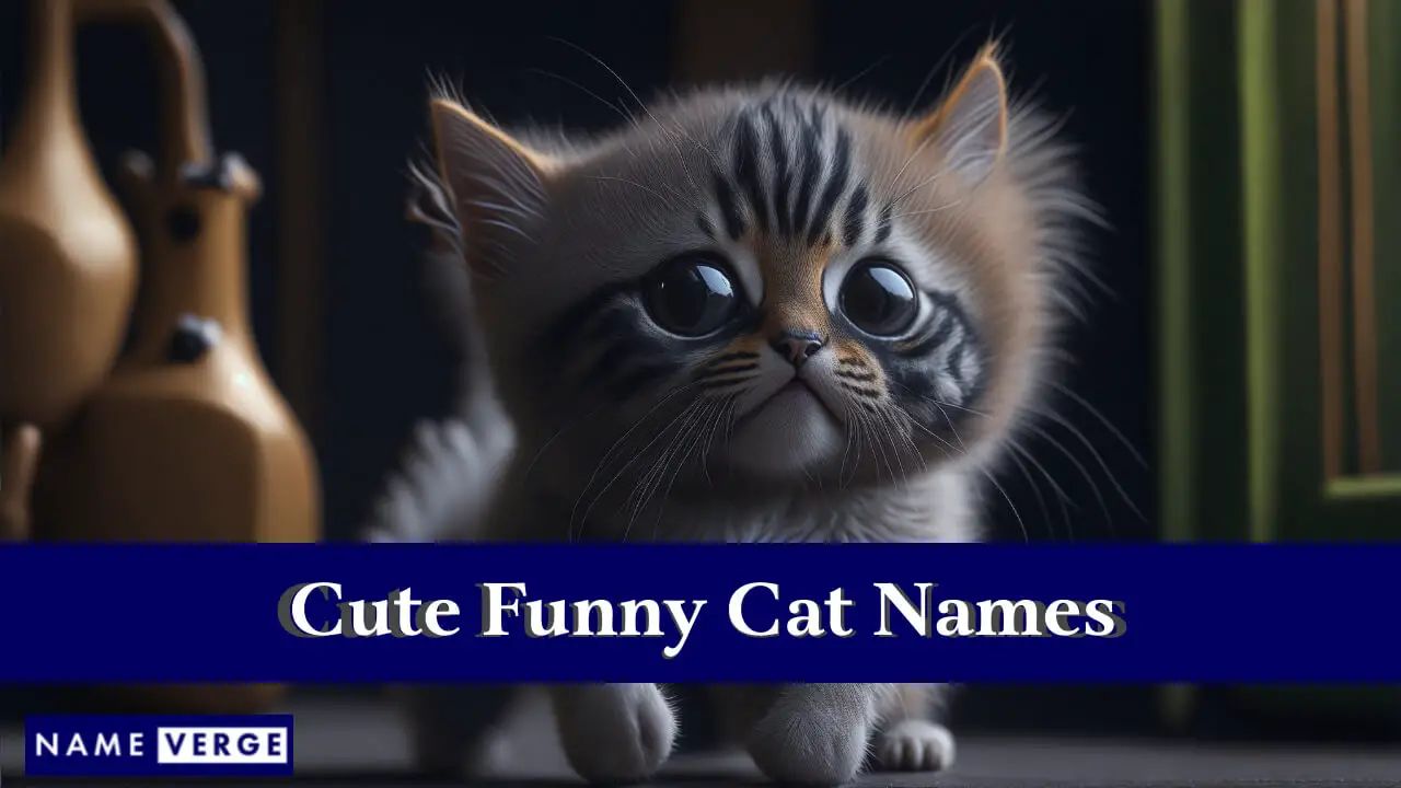 Nomi di gatti carini e divertenti