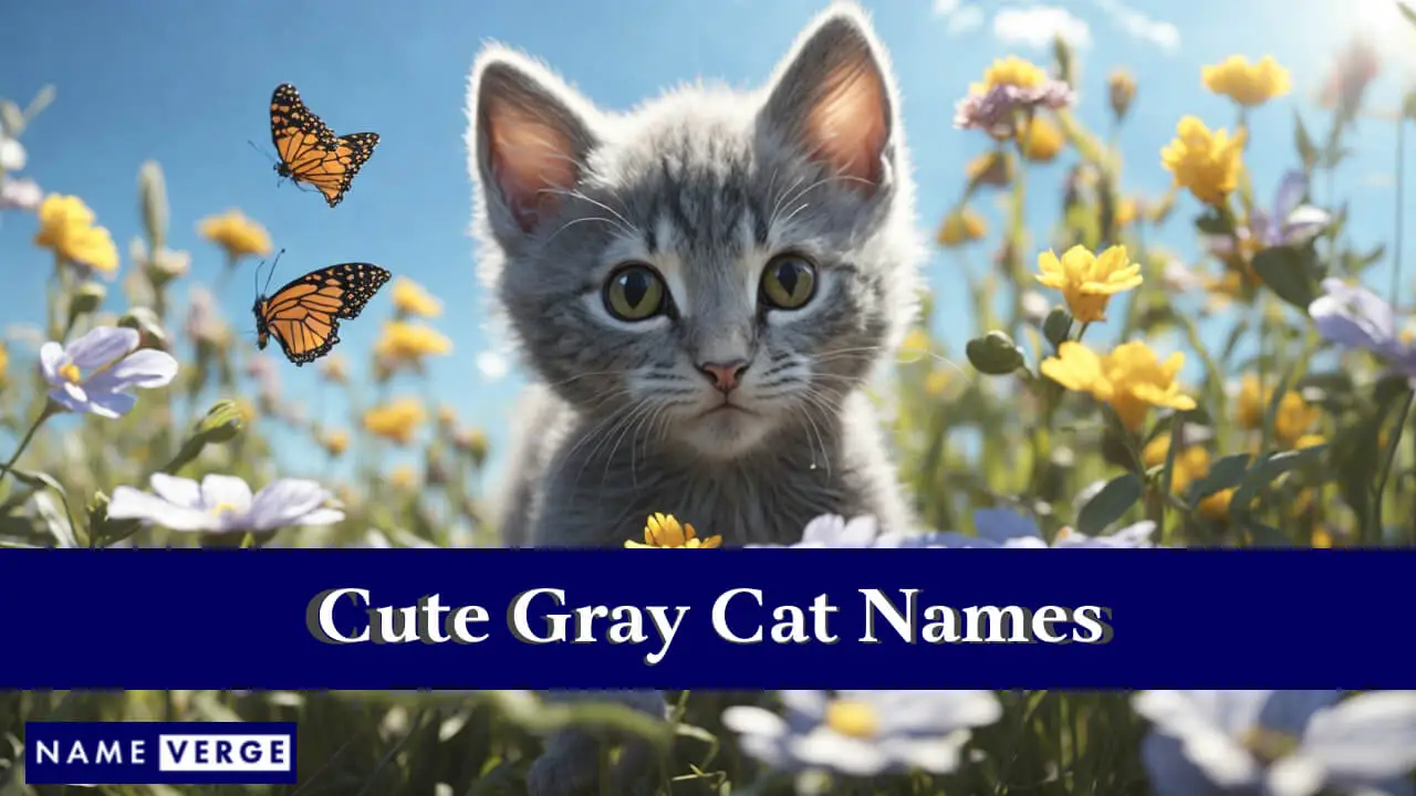 Nomi di gatti grigi carini