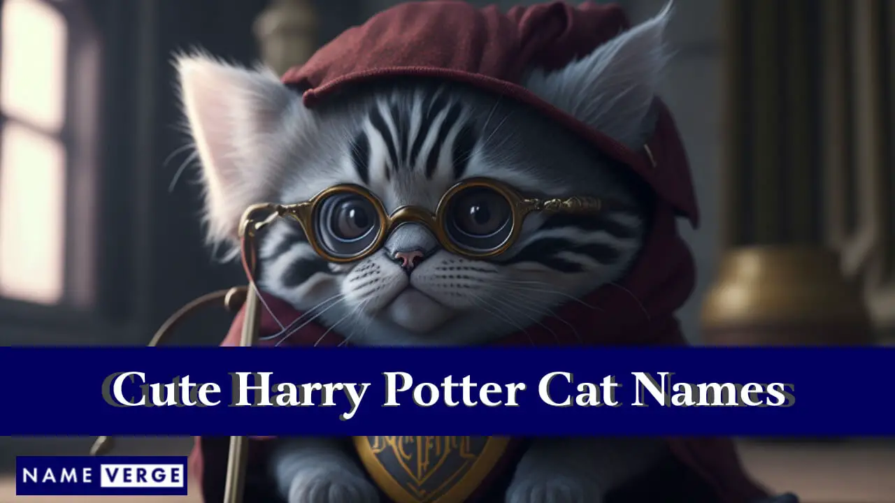 Nomi di gatti carini di Harry Potter