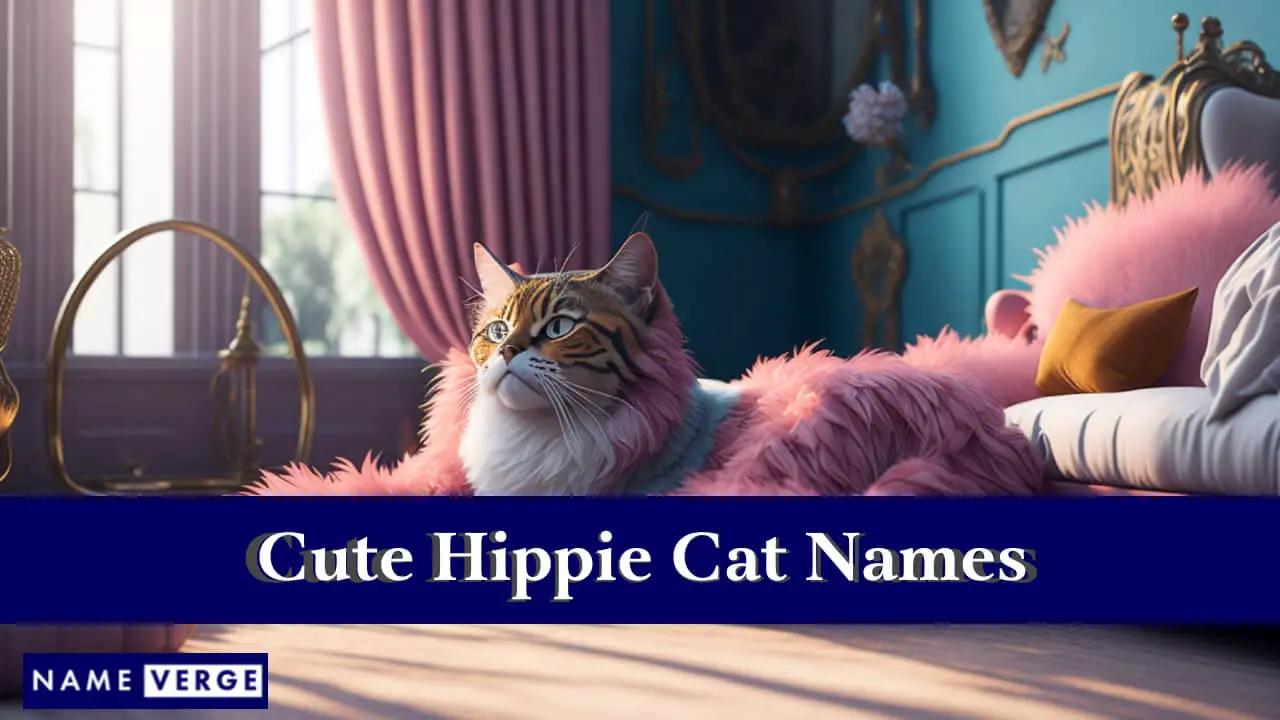 Nomi di gatti hippie carini