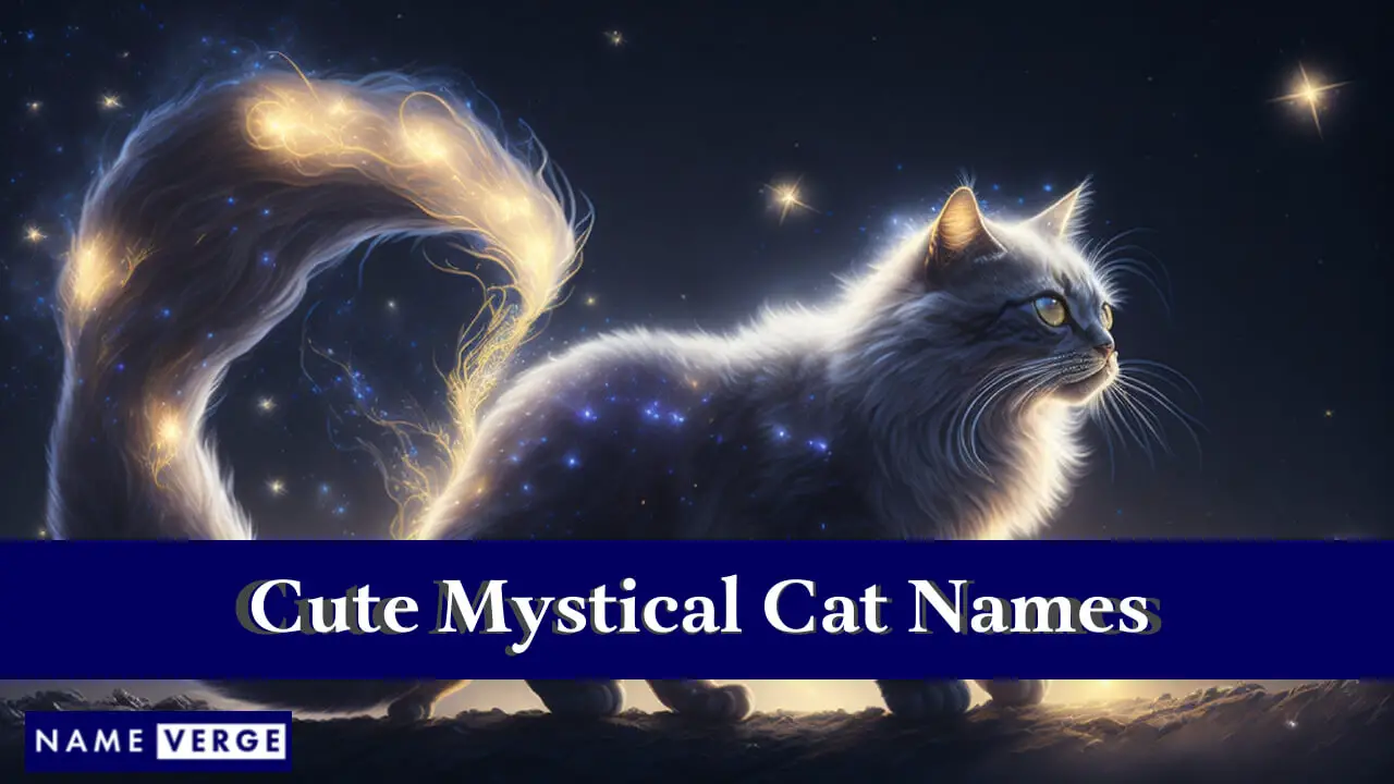 Nomi di gatti mistici carini