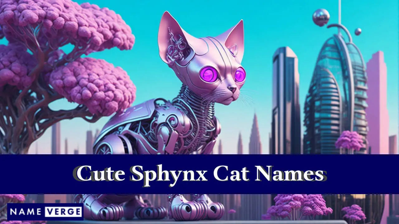 Nomi di gatti Sphynx carini