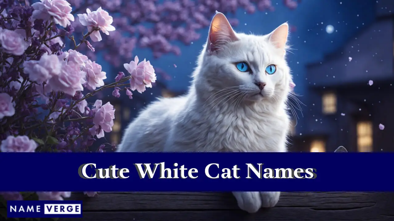 Nomi di gatti bianchi carini