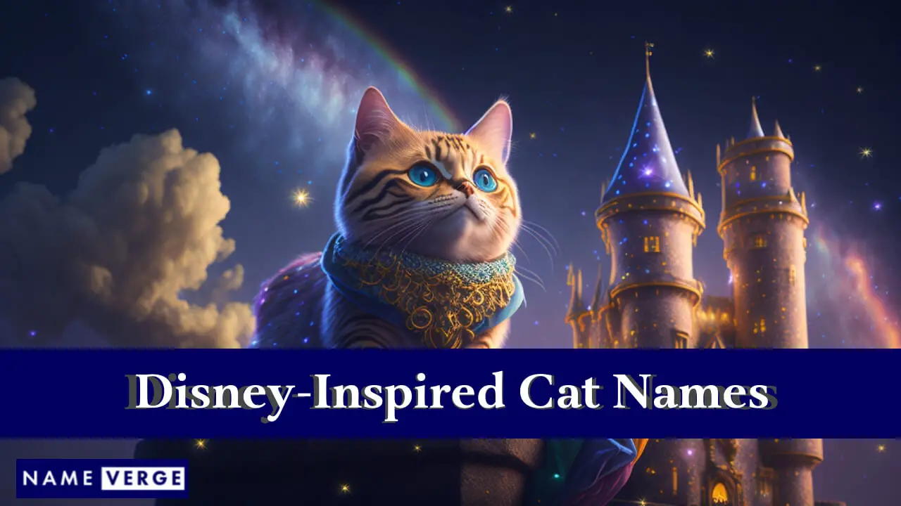 Nomi di gatti ispirati alla Disney