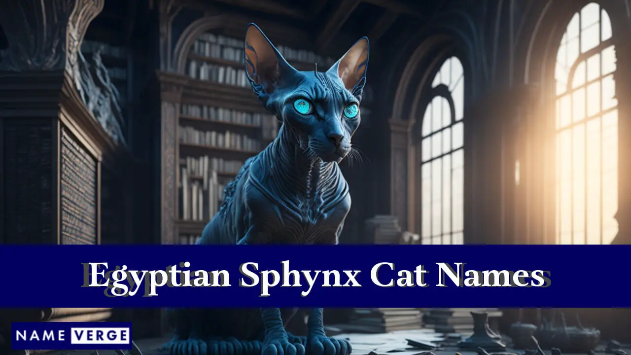 Nomi di gatti Sphynx egiziani