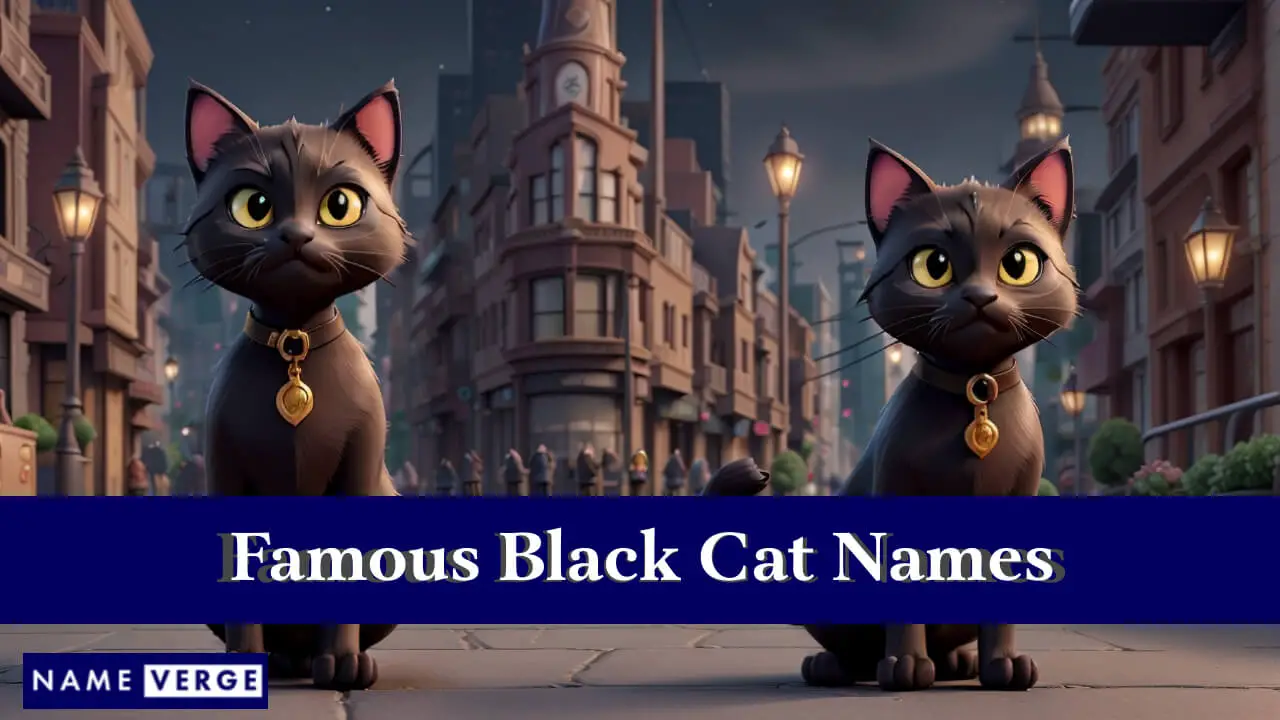 Nomi famosi di gatti neri