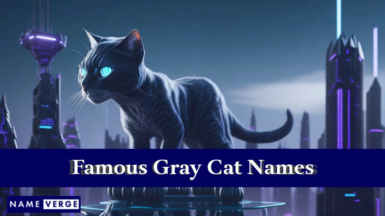 Nomi famosi di gatti grigi
