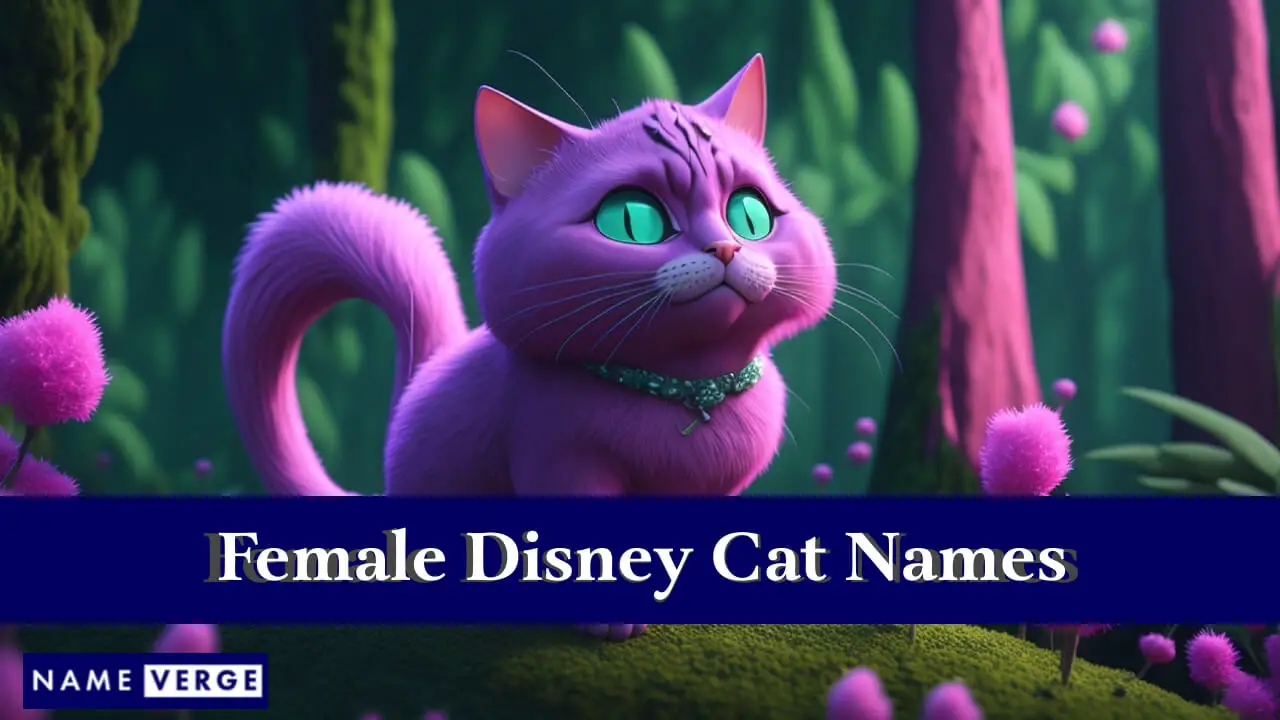 Nomi di gatti Disney femminili