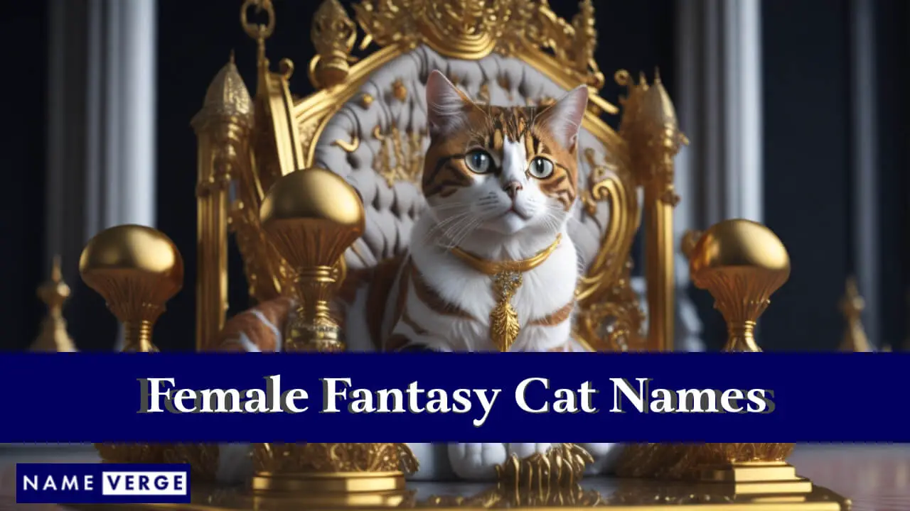 Nomi di gatti fantasy femmine